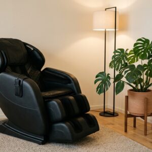 Salon Chair (professional)